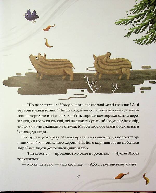 Winter stories / Зимові оповідки Анна Пашкевич 9786170043986-4