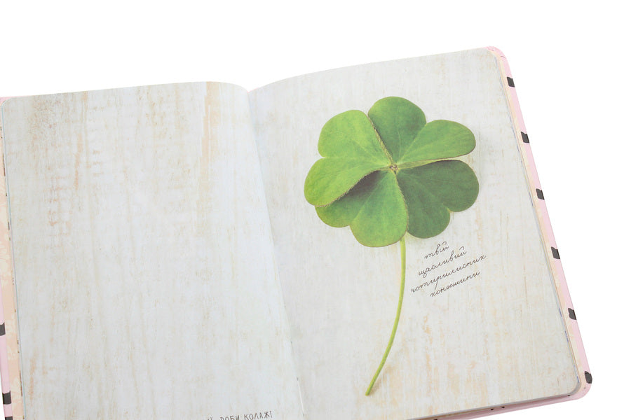 Wish book. This diary grants 14 wishes / Wish book. Цей щоденник виконує бажання 14  978-966-935-887-5-14-5
