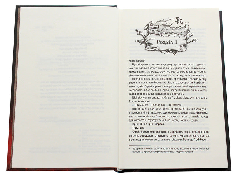 Witch. Elves' Blood. Book 3 / Відьмак. Кров ельфів. Книга 3 Andrzej Sapkovsky / Анджей Сапковський 9786171283503-5