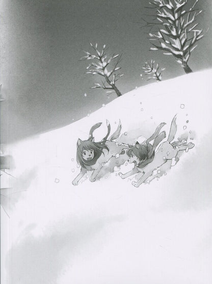 Wolf children Ame and Yuki. Volume 2 / Вовчі діти Аме та Юкі. Том 2 Мамору Хосода 978-617-8485-08-5-4