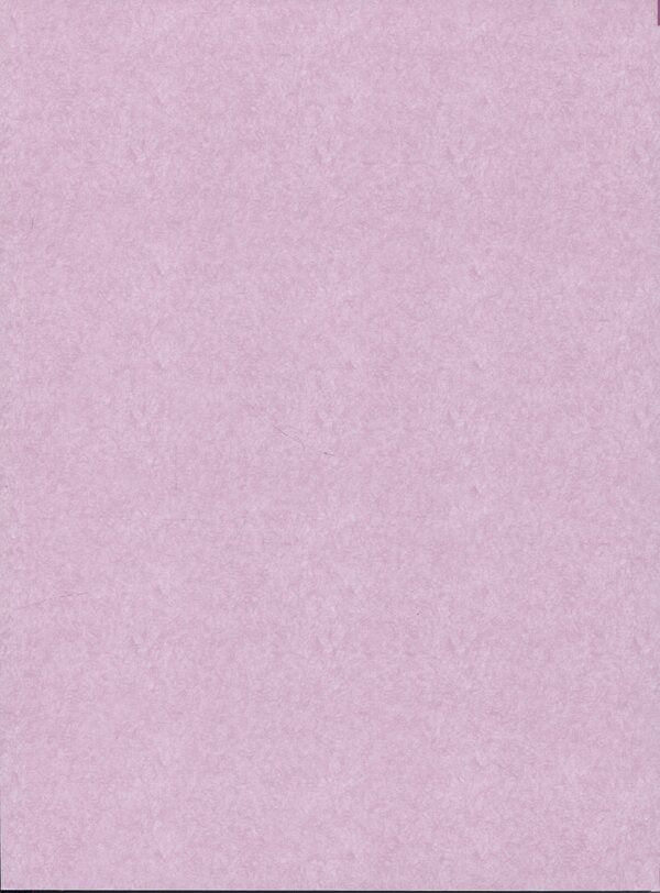 Wolf kids Ame and Yuki / Вовчі діти Аме та Юкі Мамору Хосода 9786178485139-4