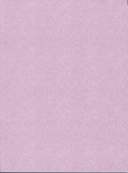 Wolf kids Ame and Yuki / Вовчі діти Аме та Юкі Мамору Хосода 9786178485139-4