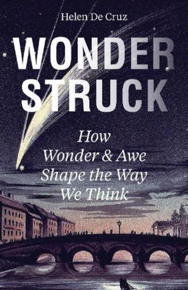Wonderstruck: How Wonder And Awe Shape The Way We Think Helen De Cruz - Хелен Де Круз 9780691232188-1
