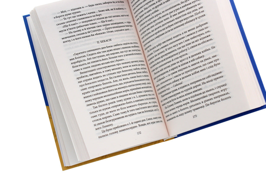 Woodcocks / Вальдшнепи Микола Хвылевой 978-966-03-9483-4-5