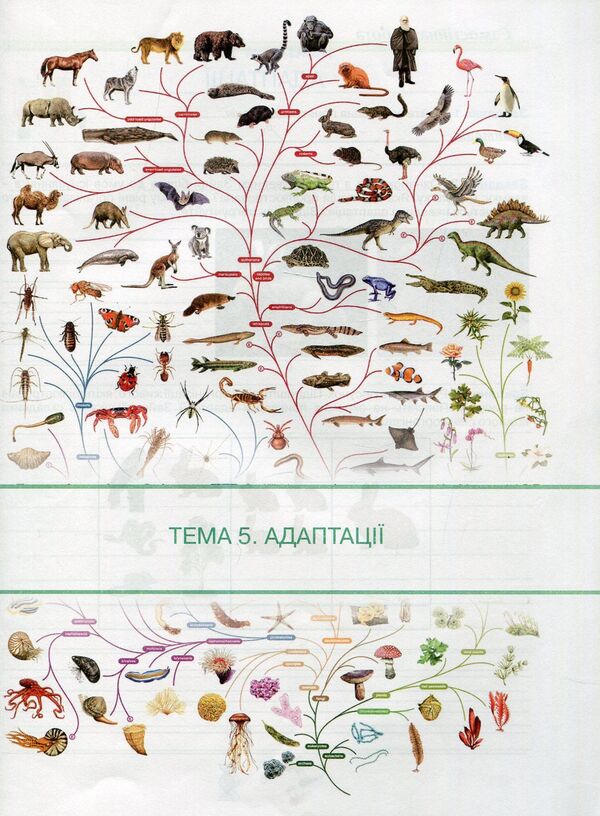 Workbook on biology and ecology. Grade 11 / Робочий зошит з біології і екології. 11 клас Оксана Андерсон, Марина Вихренко 978-966-1650-69-4-5