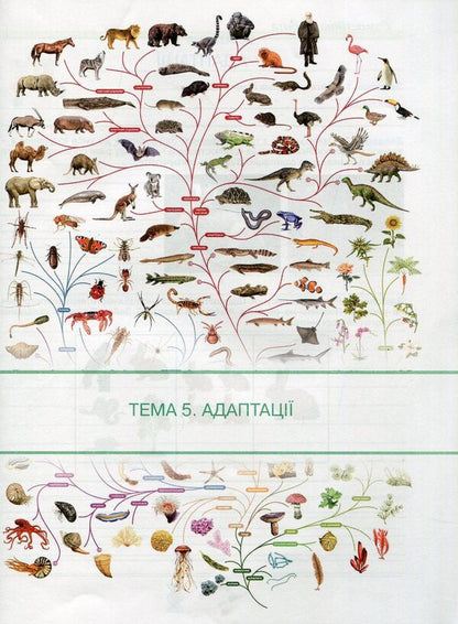 Workbook on biology and ecology. Grade 11 / Робочий зошит з біології і екології. 11 клас Оксана Андерсон, Марина Вихренко 978-966-1650-69-4-5