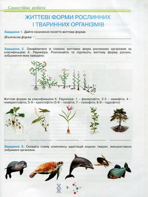 Workbook on biology and ecology. Grade 11 / Робочий зошит з біології і екології. 11 клас Оксана Андерсон, Марина Вихренко 978-966-1650-69-4-6