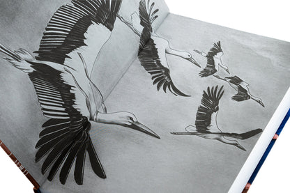 Would the storks fly away / Хіба відлітали б лелеки Вера Нестерчук 9786177792320-5