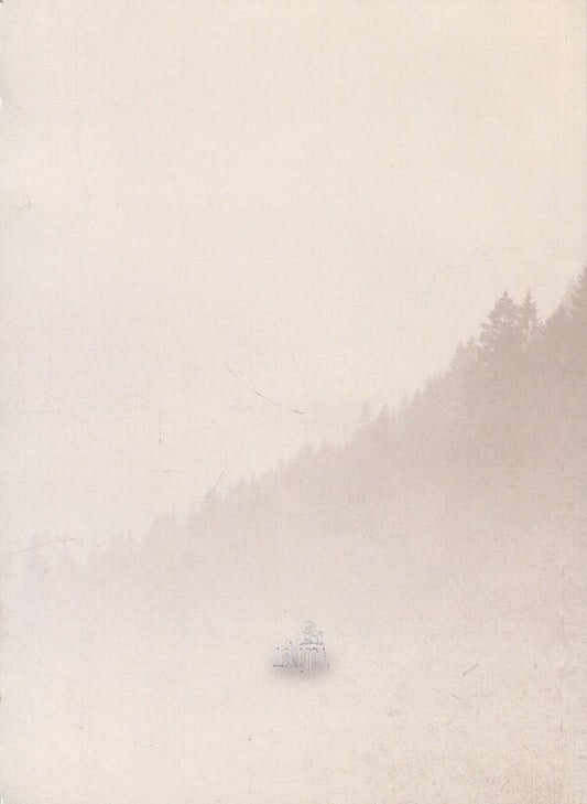 Wreath of Solomiya Krushelnytska / Віночок Соломії Крушельницької  9789661851534-2