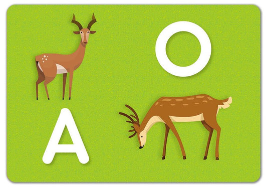 Write-erase cards. We write letters / Картки 'Пиши-стирай'. Пишемо букви Юлианна Ерёменко 9789667513207-2