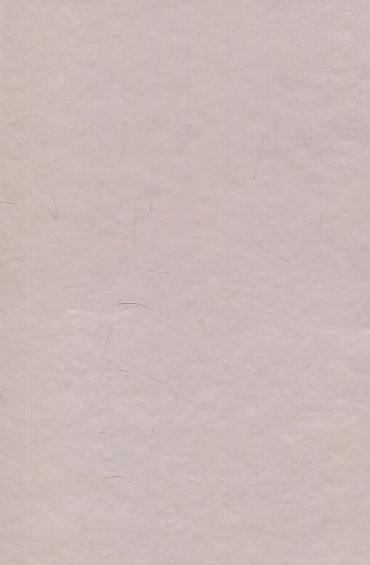 Yaroslav Pasternak - researcher of 'Galician Troy' / Ярослав Пастернак - дослідник 'Галицької Трої' Игорь Коваль, Анна Жолоб, Андрей Стасюк 978-966-668-445-8-2