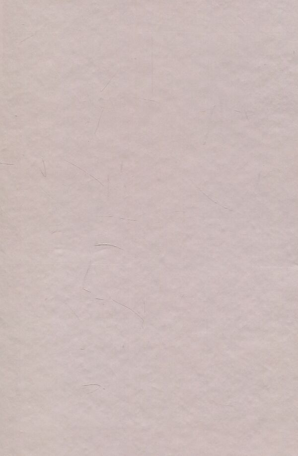 Yaroslav Pasternak - researcher of 'Galician Troy' / Ярослав Пастернак - дослідник 'Галицької Трої' Игорь Коваль, Анна Жолоб, Андрей Стасюк 978-966-668-445-8-2