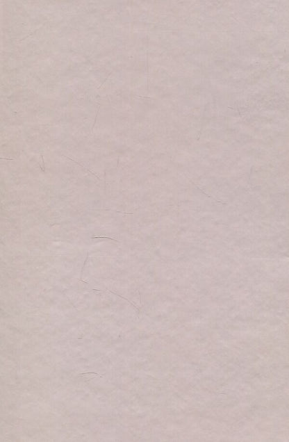 Yaroslav Pasternak - researcher of 'Galician Troy' / Ярослав Пастернак - дослідник 'Галицької Трої' Игорь Коваль, Анна Жолоб, Андрей Стасюк 978-966-668-445-8-2