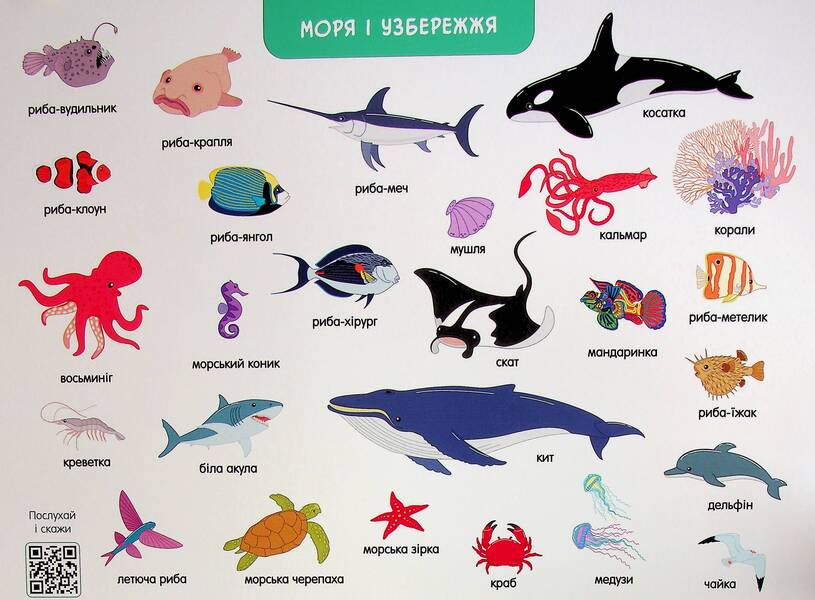 Yay, We're Talking! Which One And When? / Ура, ми заговорили! Яка і коли? Natalia Koval / Наталія Коваль 9786170987204-5