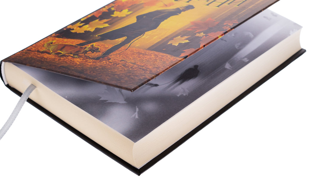 Yellow bricks / Жовті цеглини Мира Бо 978-966-10-8888-6-4