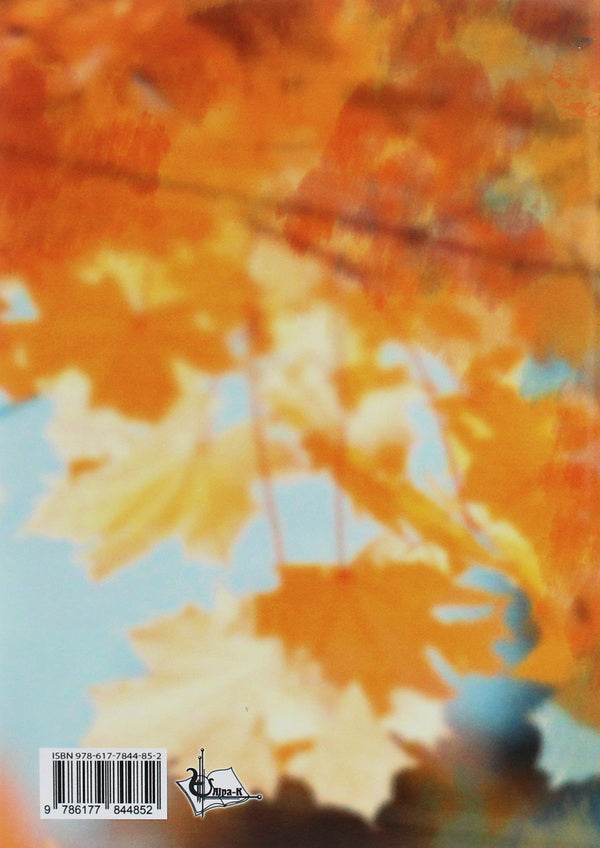 Yellow carousels / Жовтолисті каруселі Владимир Бубыр 978-617-7844-85-2-2