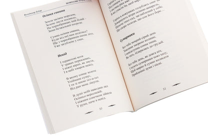 Yellow carousels / Жовтолисті каруселі Владимир Бубыр 978-617-7844-85-2-5