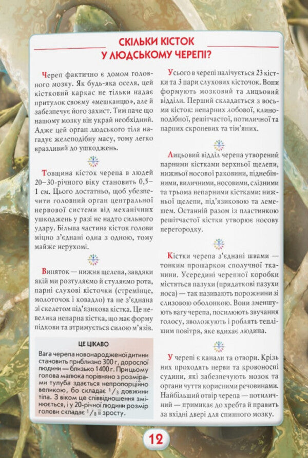 You should know that. Human body / Ви маєте це знати. Тіло людини  978-617-547-409-9-6
