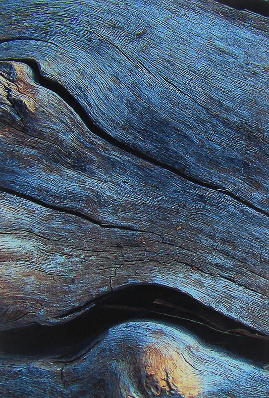 Young sprouts. Story / Молоді паростки. Повість Степан Федоривский 978-611-01-2119-4-2