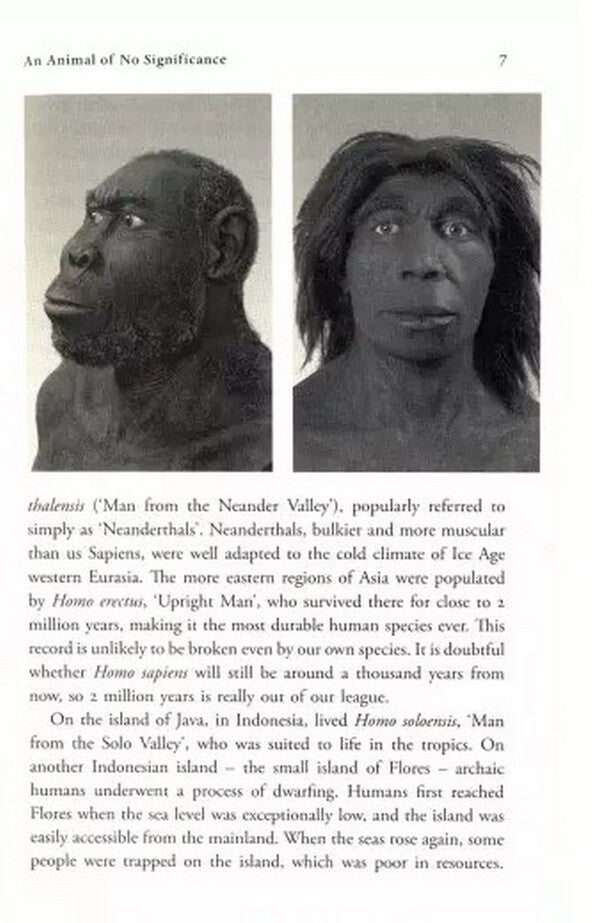 Yuval Noah Harari Box Set / Yuval Noah Harari Box Set Юваль Ной Харари 9781529115666-4