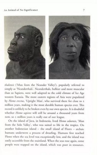 Yuval Noah Harari Box Set / Yuval Noah Harari Box Set Юваль Ной Харари 9781529115666-4