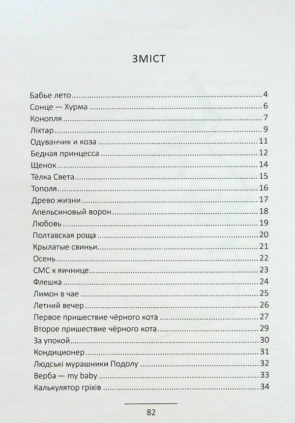 flash drive / Флешка Тимофей Ведерник 9786178000226-3