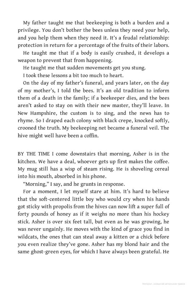 mad honey / Mad Honey Джоди Пиколт, Дженнифер Финни Бойлан 9781473692480-5