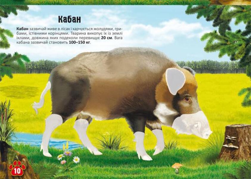 meganalipki Animals / Меганаліпки. Тварини Дмитрий Турбанист 978-966-987-139-8-4