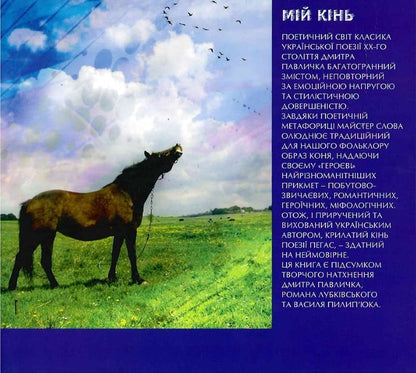 my horse / Мій кінь Дмитрий Павлычко, Роман Лубкивский, Василий Пилипюк 9789667594756-2
