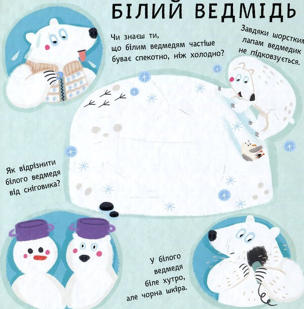 peekaboo Animals in colorful clothes / Пікабу. Тваринки в кольорових одежинках Сильви Санжа 978-617-09-3189-4-3