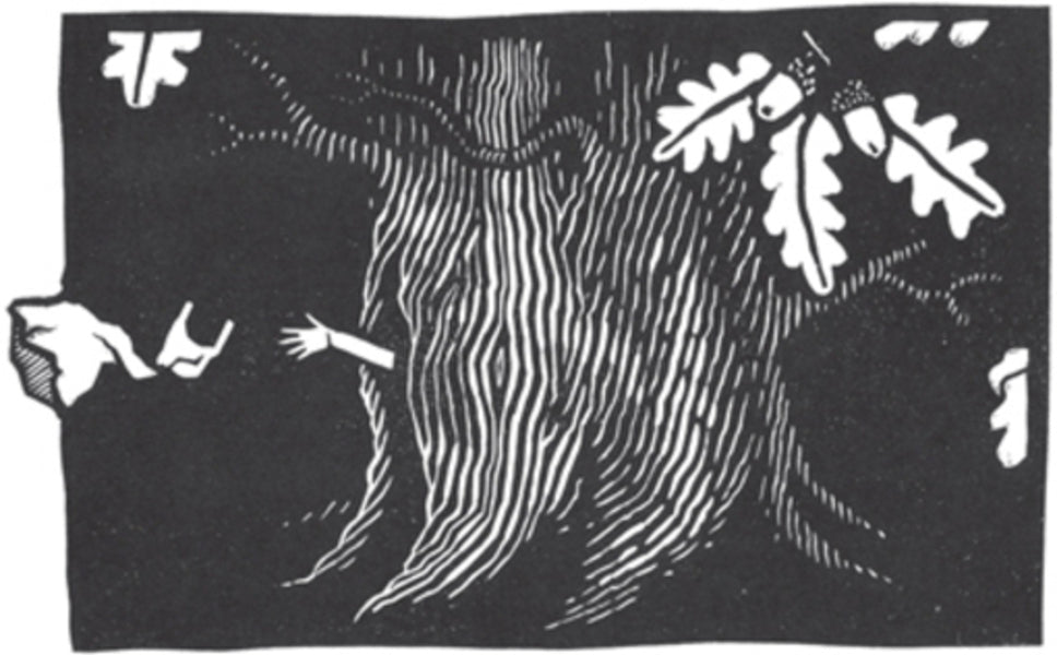 storyland. A New Mythology of Britain / Storyland. A New Mythology of Britain Эми Джеффс 9781529407976-2