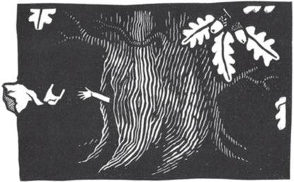 storyland. A New Mythology of Britain / Storyland. A New Mythology of Britain Эми Джеффс 9781529407976-2