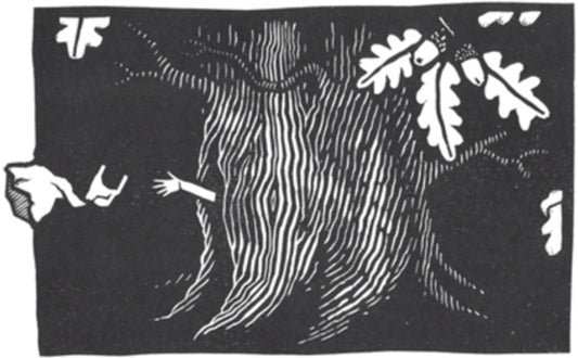 storyland. A New Mythology of Britain / Storyland. A New Mythology of Britain Эми Джеффс 9781529407976-2