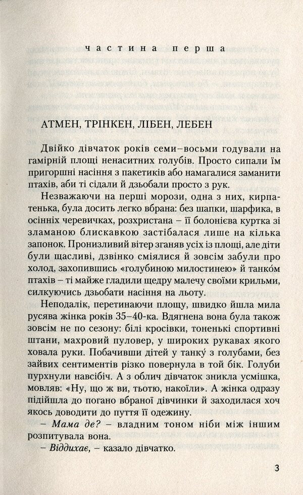 stray / Приблуди Тарас Ващук 978-966-668-543-1-3