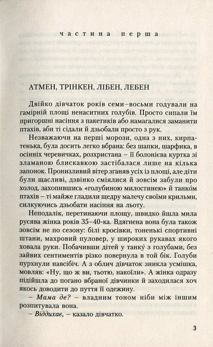 stray / Приблуди Тарас Ващук 978-966-668-543-1-3